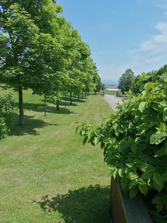 Ferienwohnung Schuhmann Mit Wintergarten Und Garten Therme Aquapulco Und Ikuna Erlebnispark, Zoo Schmiding 20 Min Mit Auto Entfernt Ab 3 Naechte Buchbar Hinzenbach エクステリア 写真